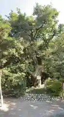 白羽神社の庭園