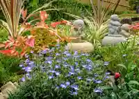 寿量山 速成寺の自然