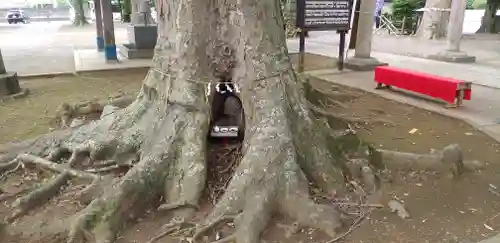 一言主神社の自然