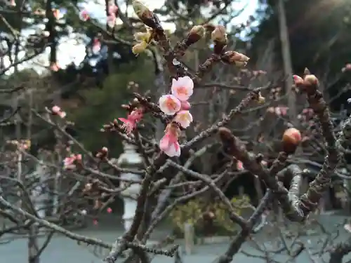 鎮國寺(福岡県)