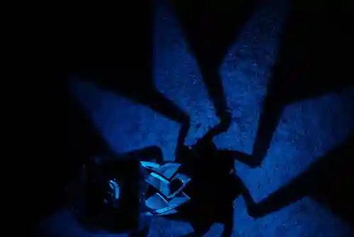 忌宮神社(山口県)