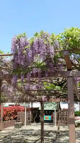 守鐵社の本殿・本堂