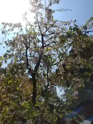 瑞光寺(東京都)