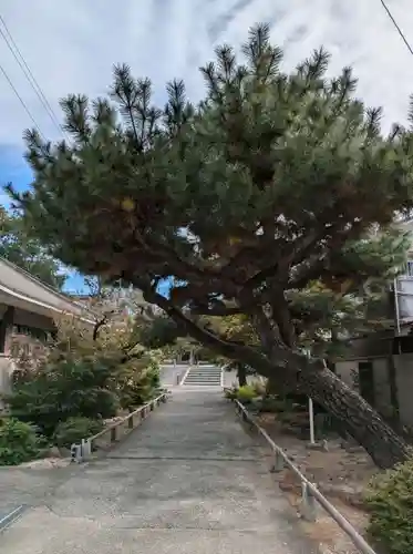百萬遍知恩寺(京都府)
