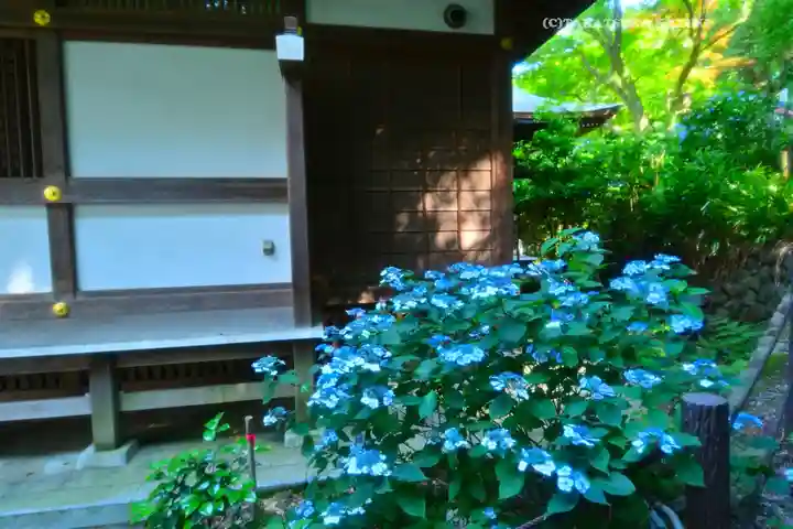 高幡不動尊 金剛寺(東京都)