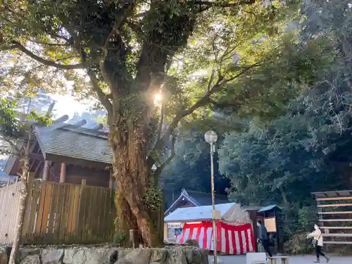 多度大社(三重県)