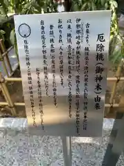 川越八幡宮(埼玉県)