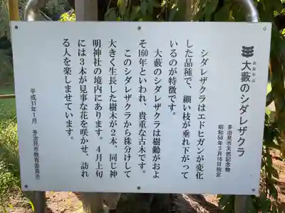 神明神社(大薮町)の自然