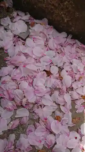 三輪神社の自然