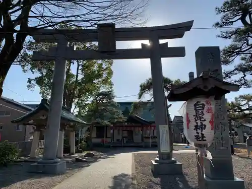 杉杜白髭神社の鳥居