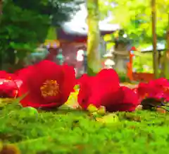 山北八幡神社の自然