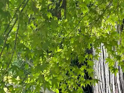 国宝 大法寺(長野県)