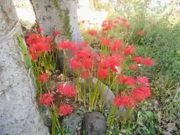 和田塚(神奈川県)
