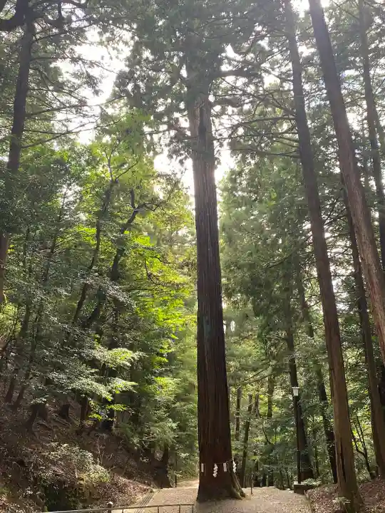元伊勢内宮 皇大神社(京都府)
