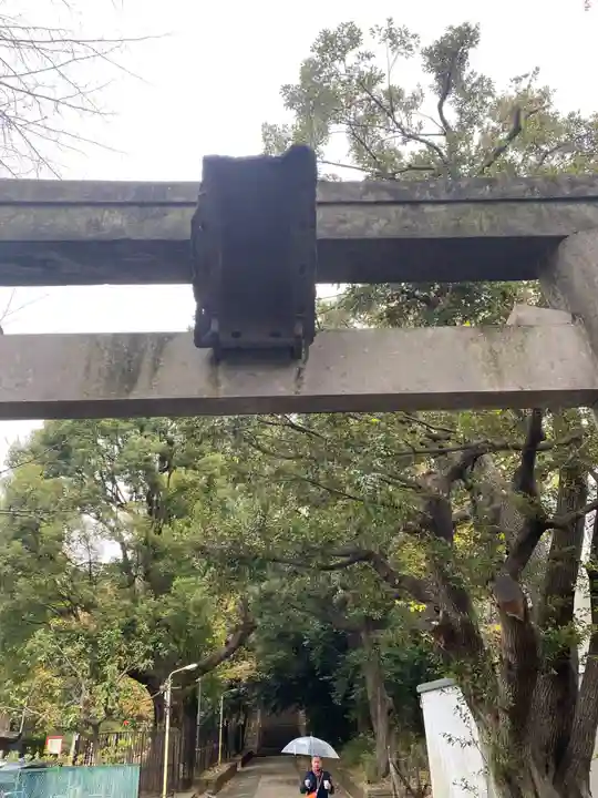 渋谷氷川神社(東京都)