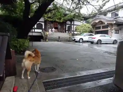 感通寺のその他建物
