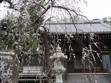 常立寺の本殿・本堂