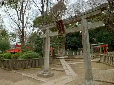 乙女稲荷神社の鳥居