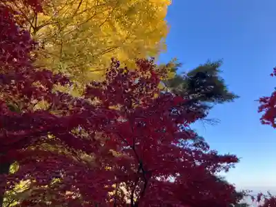 大山寺(神奈川県)