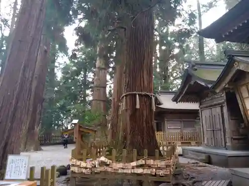 高千穂神社(宮崎県)