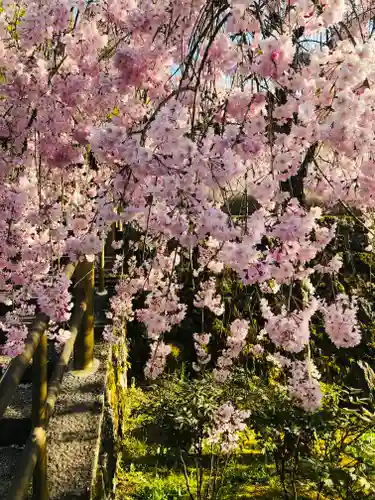 岡寺（龍蓋寺）(奈良県)
