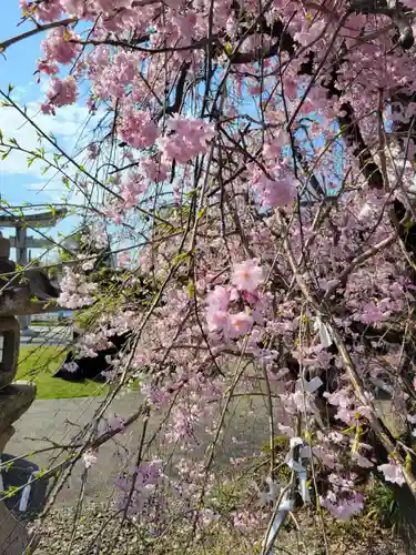 千代神社(滋賀県)