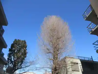 御林稲荷神社（駒込天祖神社境外末社）(東京都)