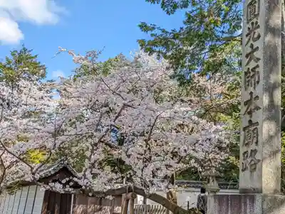 知恩院(京都府)