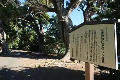 大瀬神社の歴史