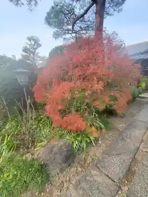 華厳寺の自然