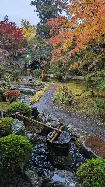 十輪寺(京都府)
