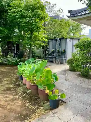 円光院(東京都)