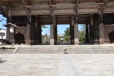 東大寺 法華堂(三月堂)の山門・神門