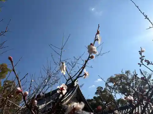 一乗院(和歌山県)