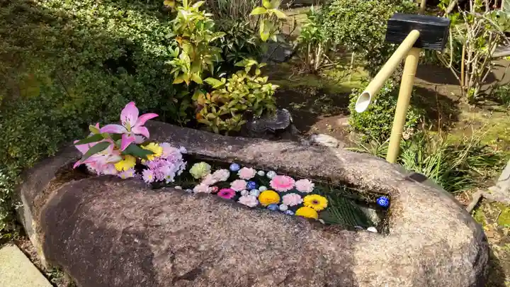 本妙院(東京都)