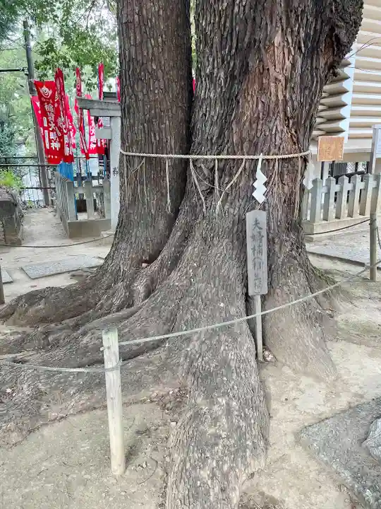 諏訪神社(東京都)
