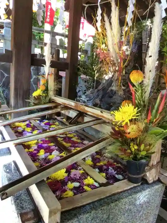 東京大神宮(東京都)