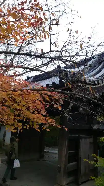 龍安寺の{uncategorized: "未分類", other: "その他", undefined: "問題あり", building: "その他建物", grave: "お墓", sacred_gate: "鳥居", guardian: "狛犬", statue: "像", buddha: "仏像", history: "歴史", nature: "自然", garden: "庭園", animal: "動物", pagoda: "塔", temizu: "手水舎", mountain_gate: "山門・神門", sanctuary: "本殿・本堂", subordinate: "末社・摂社", art: "芸術", scenery: "景色", jizo: "地蔵", ema: "絵馬", goshuin: "御朱印", omikuji: "おみくじ", items: "授与品その他", amulet: "お守り", goshuincho: "御朱印帳", eats: "食事", festival: "お祭り", votive_dance: "神楽", shichigosan: "七五三参", wedding: "結婚式", experience: "体験その他", initially: "初詣", around: "周辺", anti_infection: "感染症対策"}