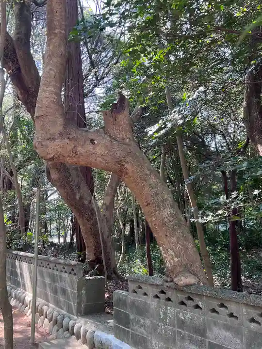 鎌田神明宮(静岡県)