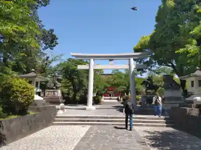 富士山本宮浅間大社(静岡県)