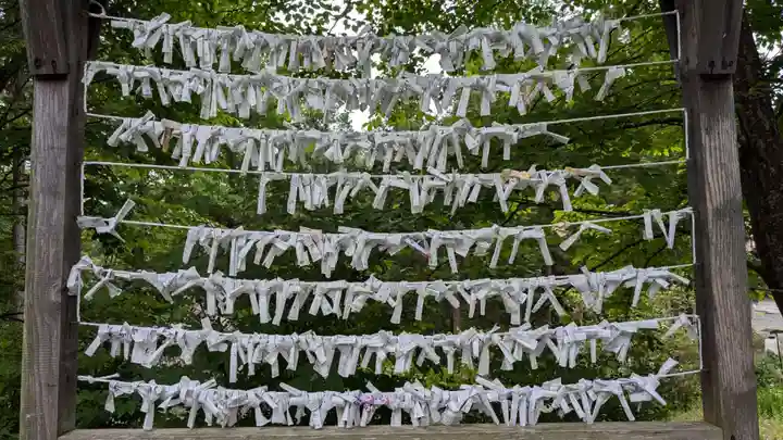 義經神社のおみくじ
