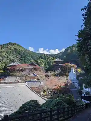 南法華寺（壷阪寺）(奈良県)
