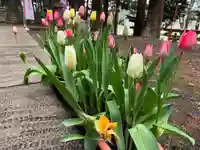 大宮温泉神社(栃木県)