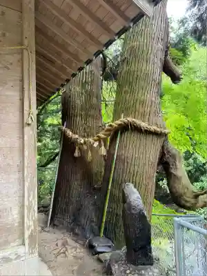 神龍八大龍王神社(熊本県)