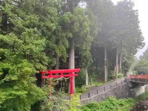 須山浅間神社の鳥居