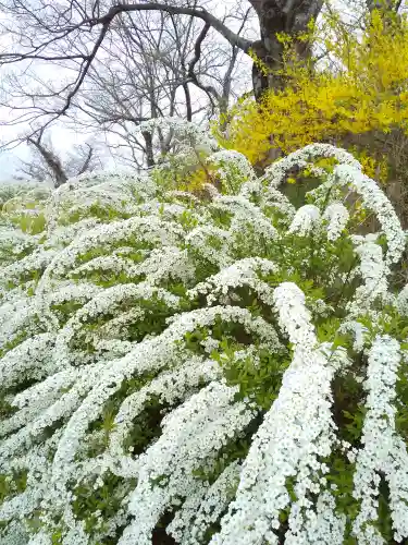 星田妙見宮(大阪府)