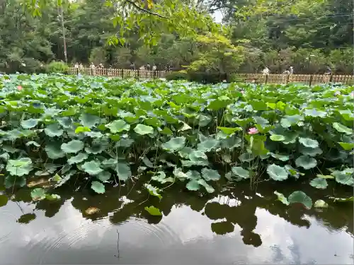 御髪神社の周辺