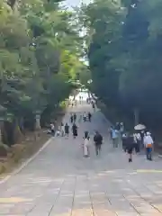 出雲大社(島根県)