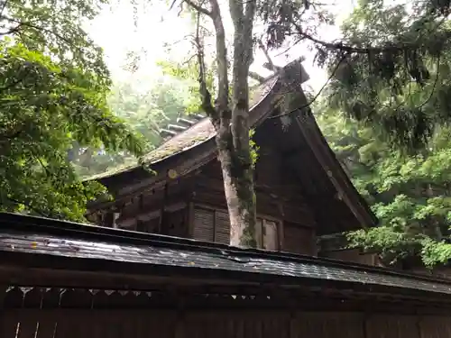 若狭彦神社（上社）の本殿・本堂