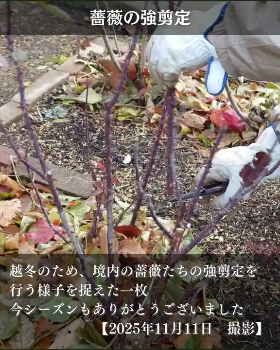 宝光寺(北海道)